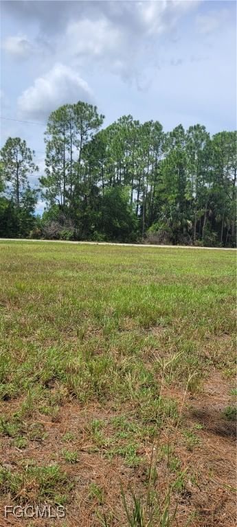 3917 NE 19th Avenue, Cape Coral, FL 33909 photo 3