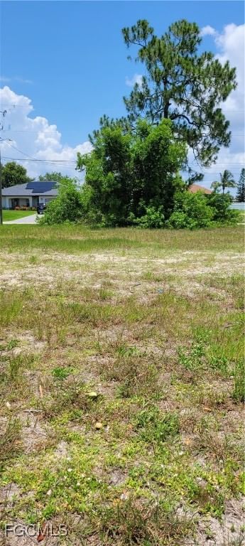 2504 NW 24th Terrace, Cape Coral, FL 33993 photo 5