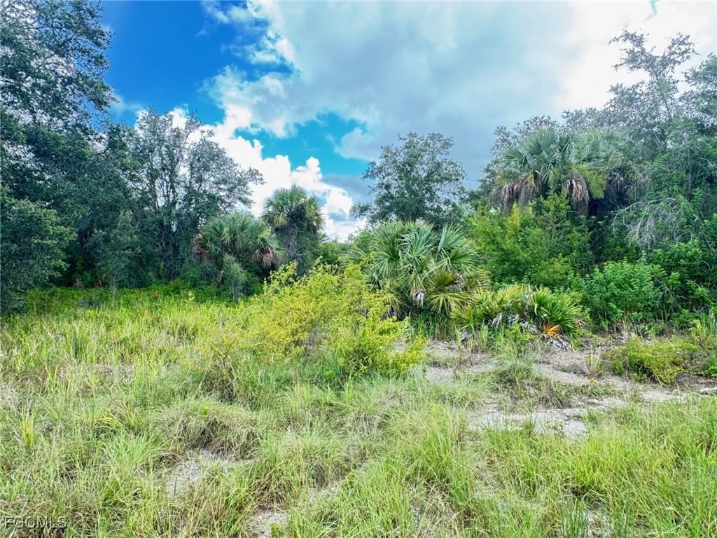 658 Morella Avenue, Lehigh Acres, FL 33972 photo 2