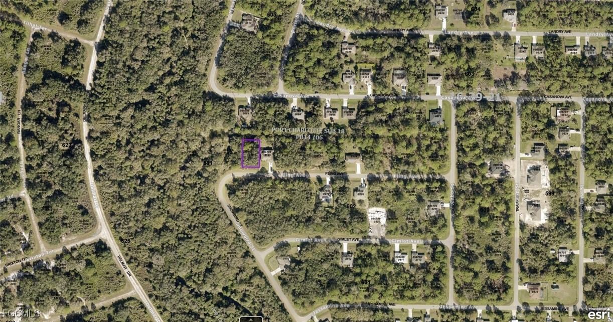 0967058148 Fling Avenue, North Port, FL 34291 photo 2