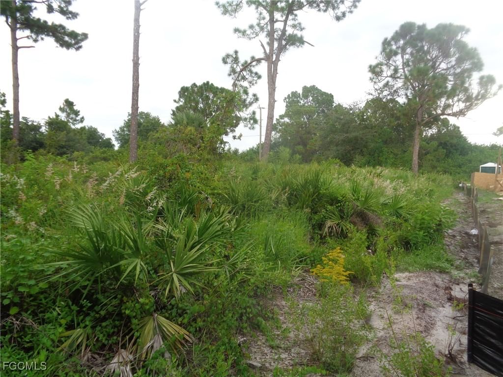 840 Naples Avenue S, Lehigh Acres, FL 33974 photo 5