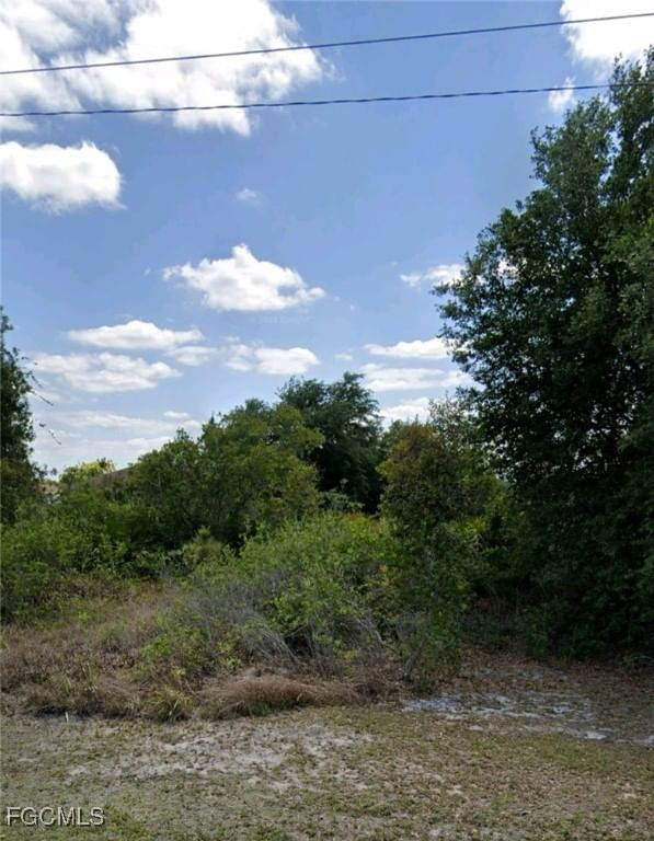 3103 57th Street W, Lehigh Acres, FL 33971 photo 2