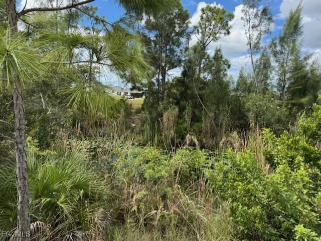 2426 NW 18th Place, Cape Coral, FL 33993 photo 4