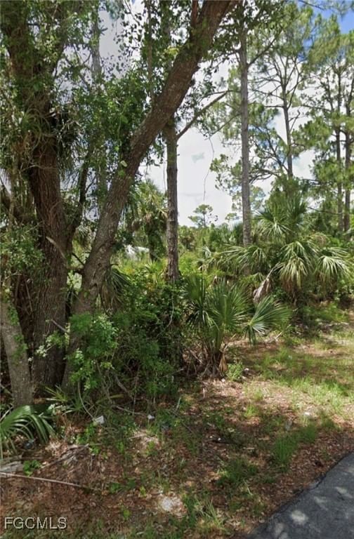 3401 62nd Street W, Lehigh Acres, FL 33971 photo 2