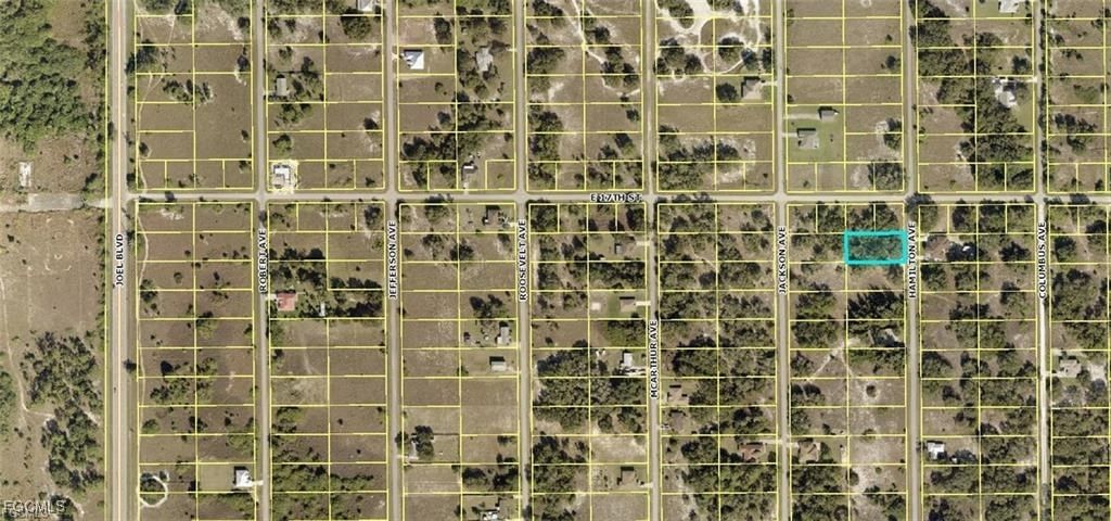 1621 Hamilton Avenue, Lehigh Acres, FL 33972 photo 2