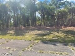 307 S Nancy Lane, Labelle, FL 33935 photo 3