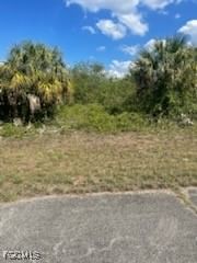 307 S Nancy Lane, Labelle, FL 33935 photo 4