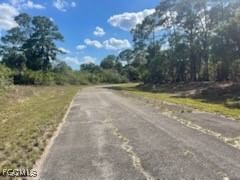 307 S Nancy Lane, Labelle, FL 33935 photo 5