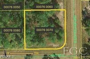 1041 Card Street E, Lehigh Acres, FL 33974 photo 2