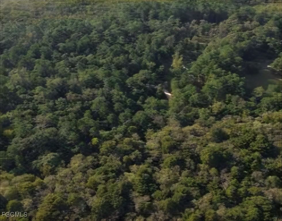 TBD, Alford, FL 32420 photo 3