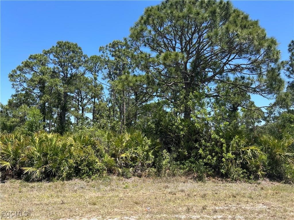 1135 Jaguar Boulevard, Lehigh Acres, FL 33974 photo 2
