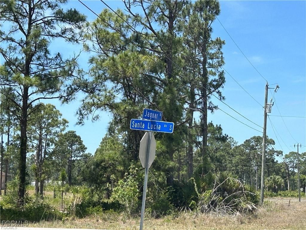1135 Jaguar Boulevard, Lehigh Acres, FL 33974 photo 4