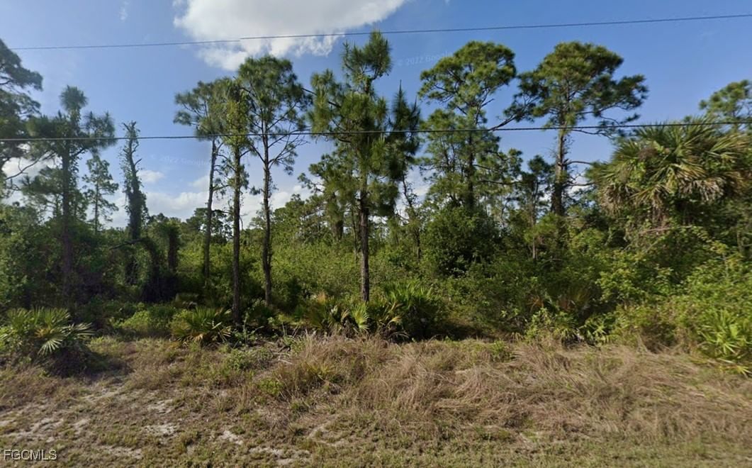 909 Butler Street E, Lehigh Acres, FL 33974 photo 2