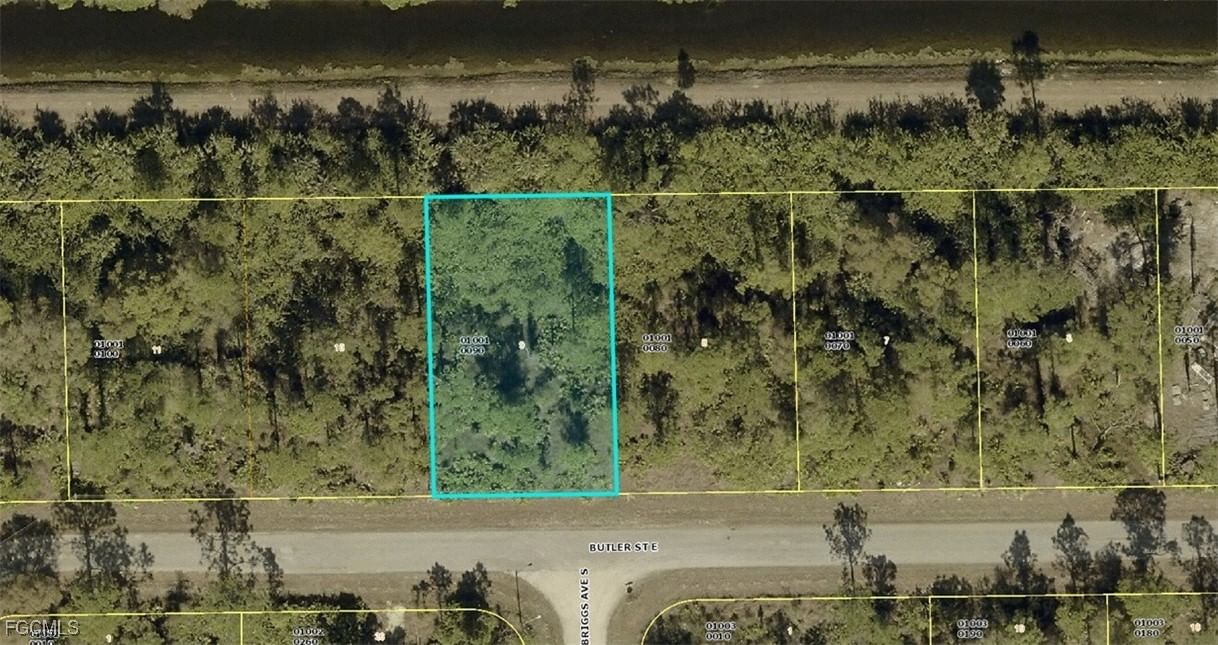 909 Butler Street E, Lehigh Acres, FL 33974 photo 4
