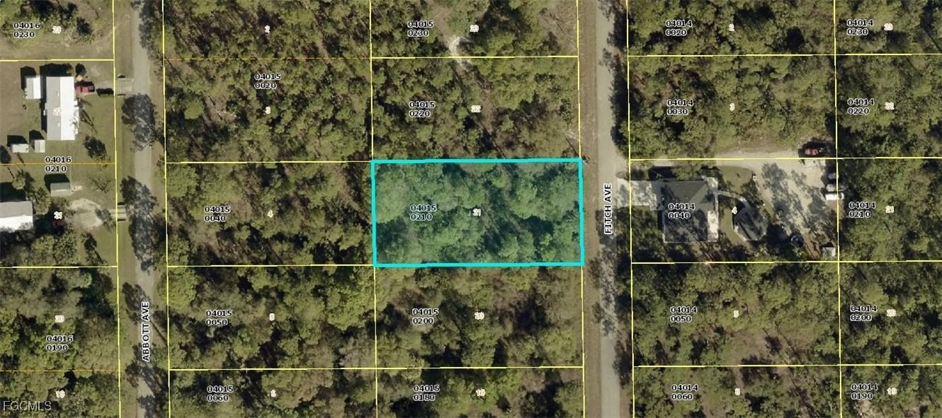 917 Fitch Avenue, Lehigh Acres, FL 33972 photo 2
