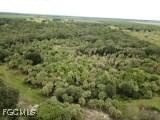 3835 Cr-833, Clewiston, FL 33440 photo 3