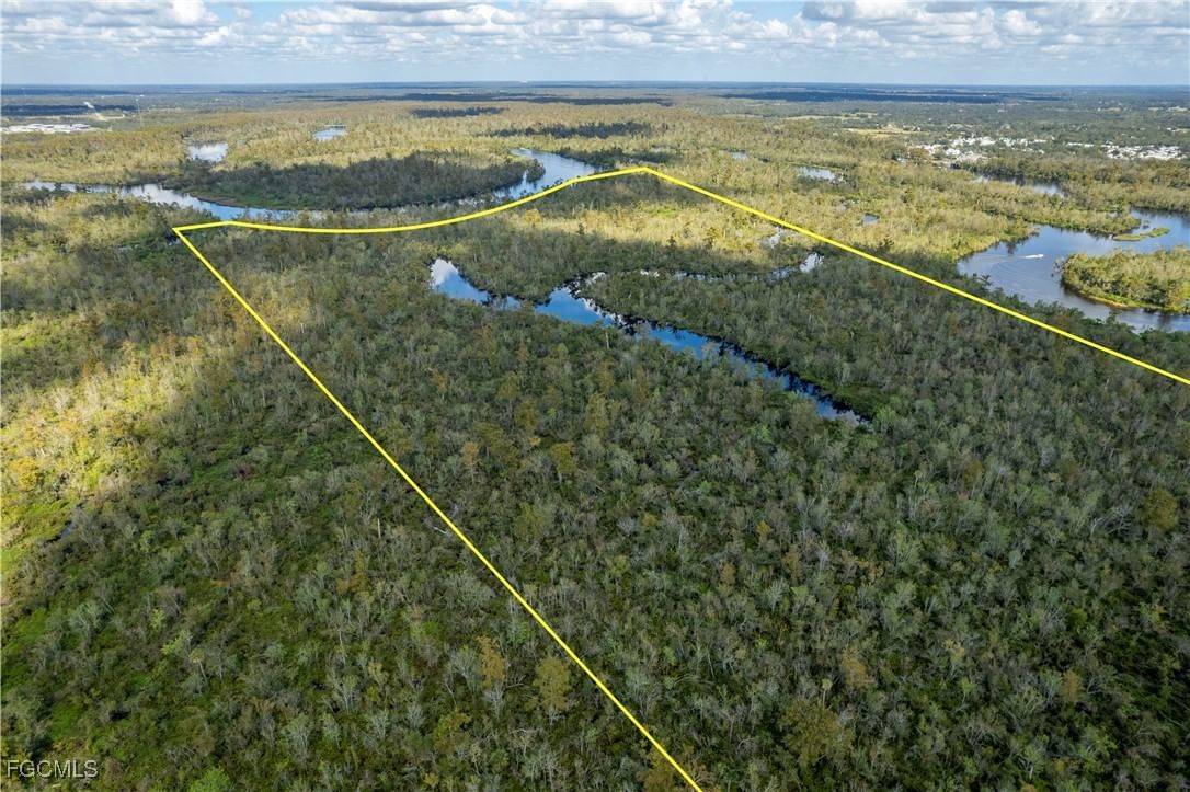 SW Co Road 761, Arcadia, FL 34269 photo 4