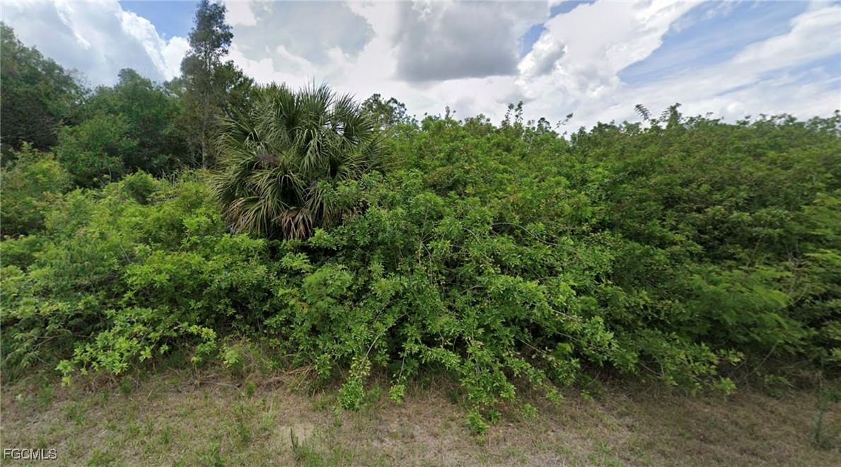 903 Michael Avenue, Lehigh Acres, FL 33936 photo 3
