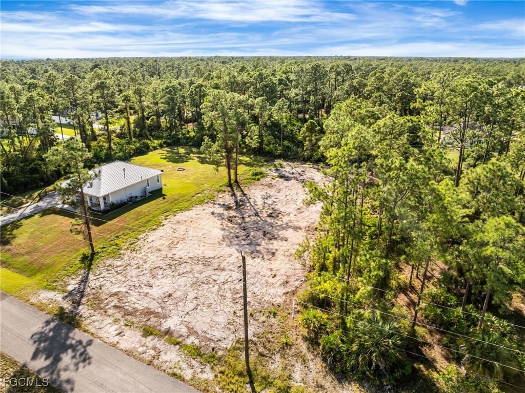 2205 Wellington Avenue, Alva, FL 33920 photo 2
