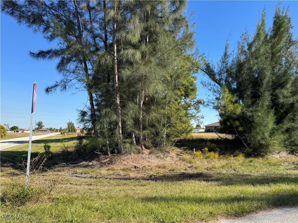 1729 NW 1st Avenue, Cape Coral, FL 33993 photo 3