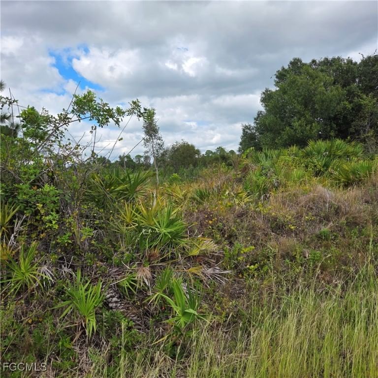 4627 Karen Avenue N, Lehigh Acres, FL 33971 photo 3