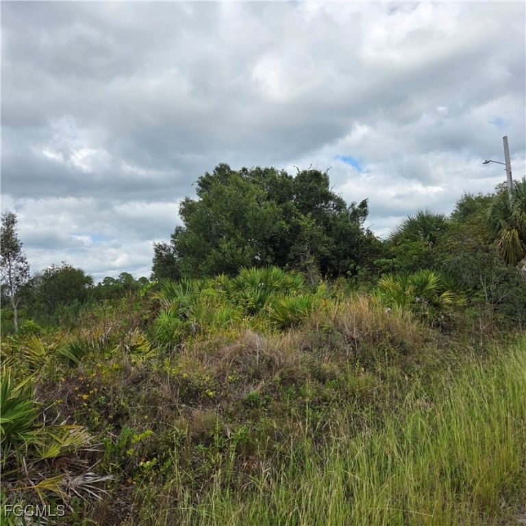 4627 Karen Avenue N, Lehigh Acres, FL 33971 photo 4