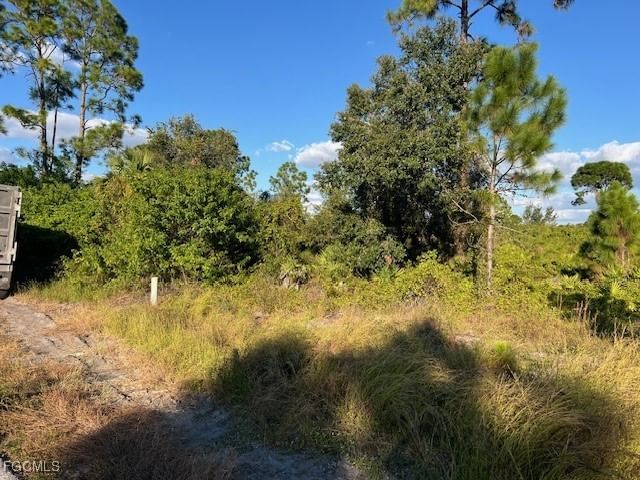 711 Da Vinci Avenue S, Lehigh Acres, FL 33974 photo 3