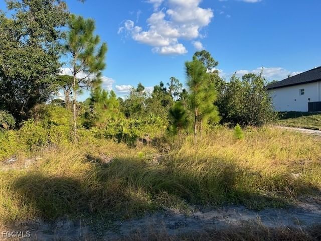 711 Da Vinci Avenue S, Lehigh Acres, FL 33974 photo 4