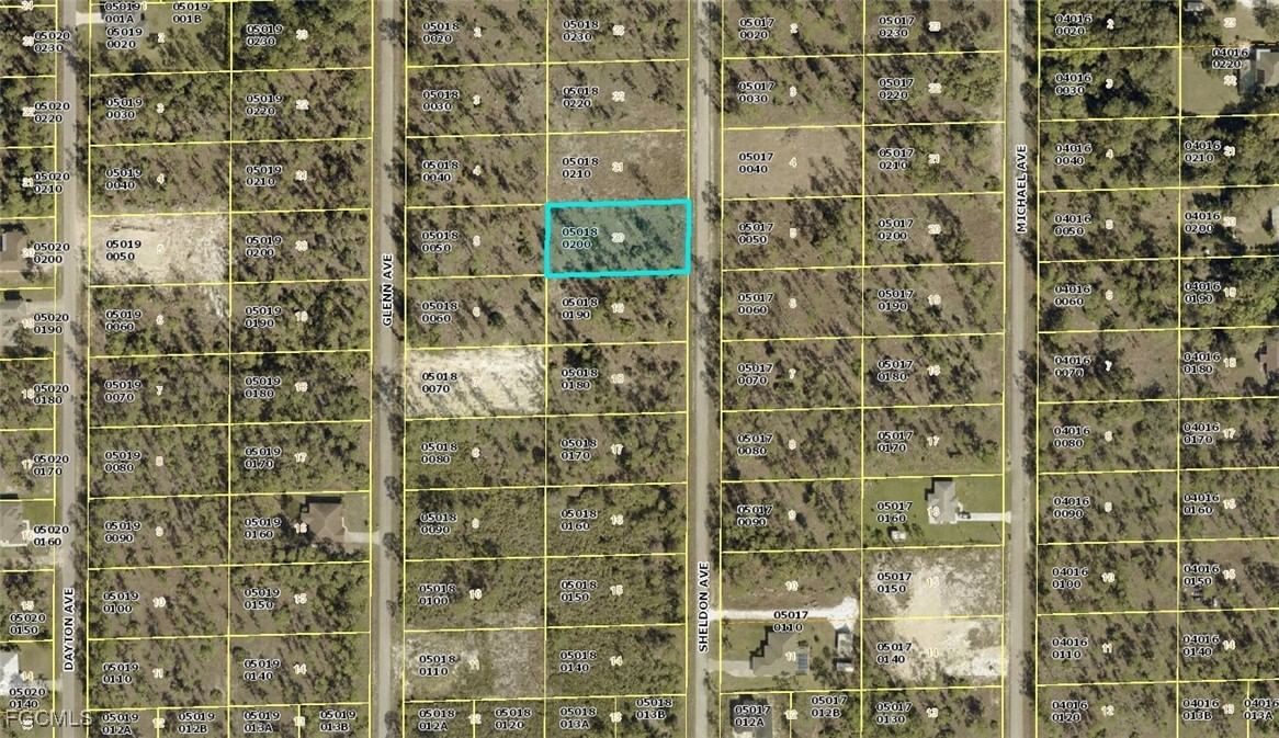 1315 Sheldon Avenue, Lehigh Acres, FL 33972 photo 3