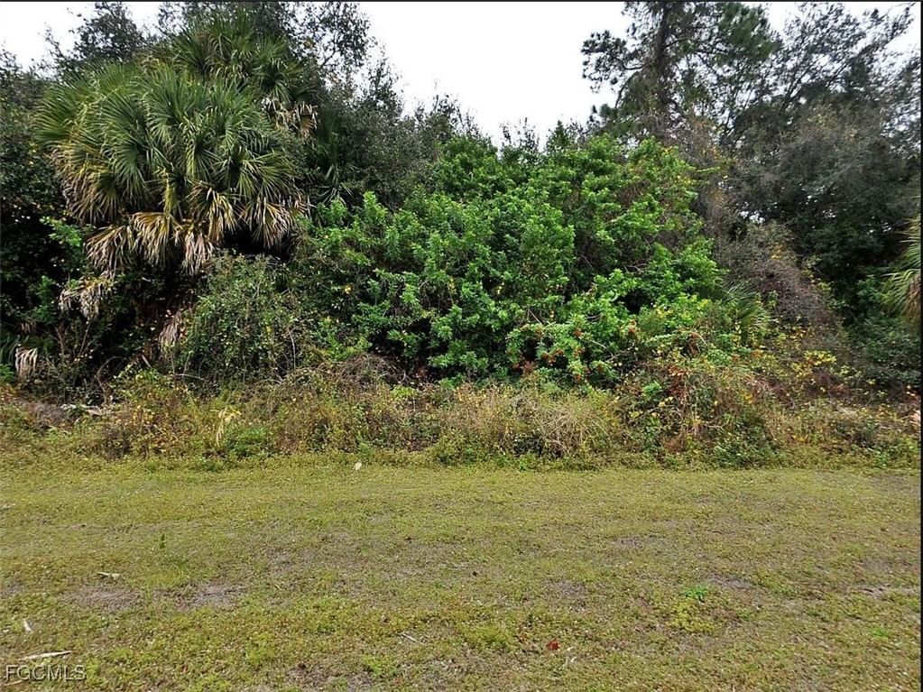 Foliage Foliage Court Court, North Port, FL 34288 photo 3
