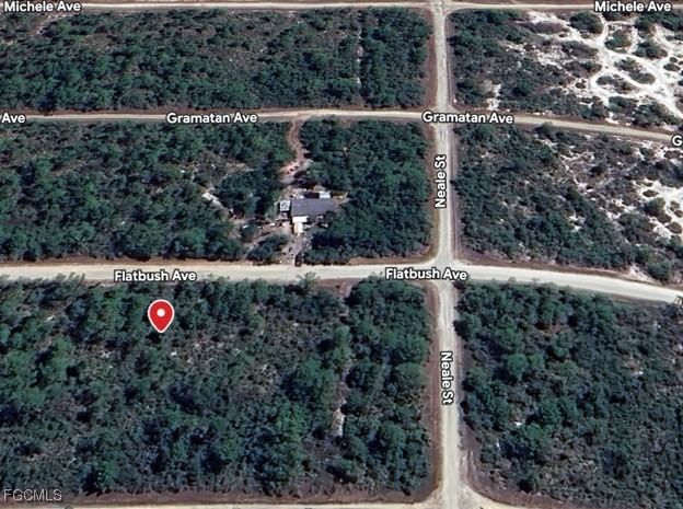 3234 Flatbush Avenue, Lake Placid, FL 33852 photo 3