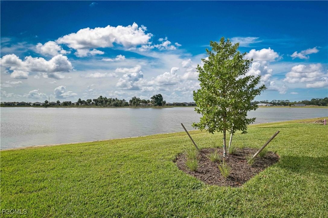 7394 Blue Salvia Drive, North Fort Myers, FL 33917 photo 3