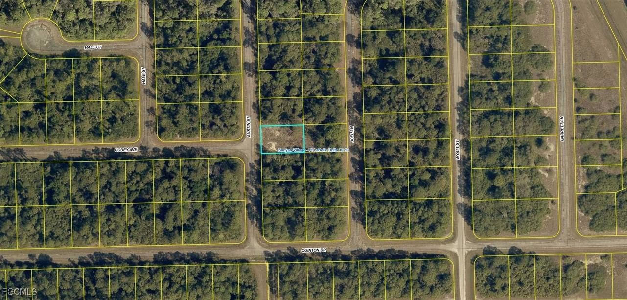 1215 Austin Street, Labelle, FL 33935 photo 3
