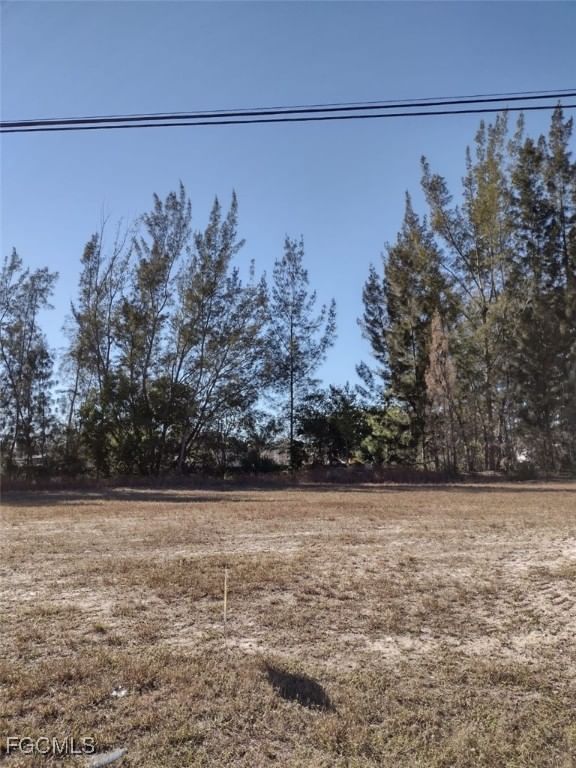 2106 SW 17th Avenue, Cape Coral, FL 33991 photo 3