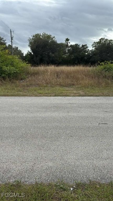 2502 E 17th Street, Lehigh Acres, FL 33972 photo 2