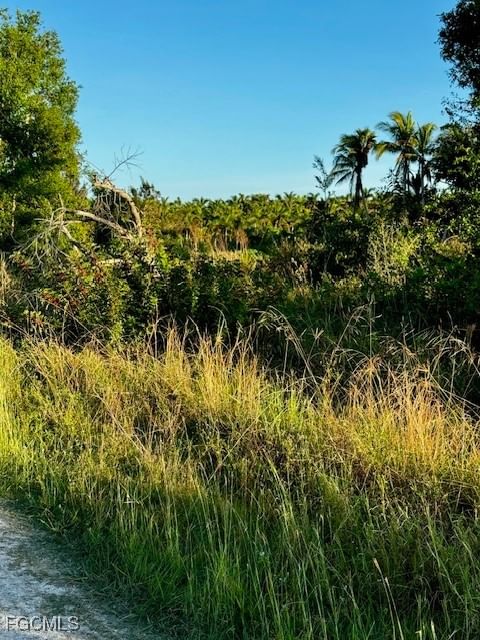7465, 7448, 742 Max Drive, Bokeelia, FL 33922 photo 3