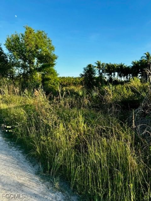 7465, 7448, 742 Max Drive, Bokeelia, FL 33922 photo 4