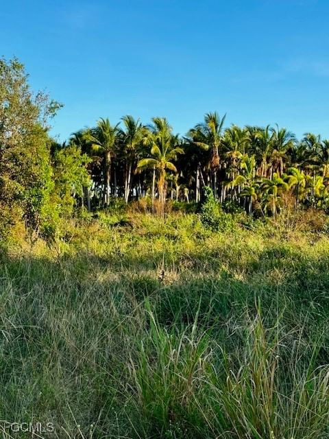 7465, 7448, 742 Max Drive, Bokeelia, FL 33922 photo 5