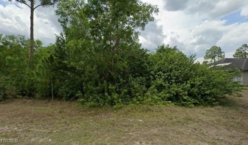 1003 Jefferson Avenue, Lehigh Acres, FL 33936 photo 3