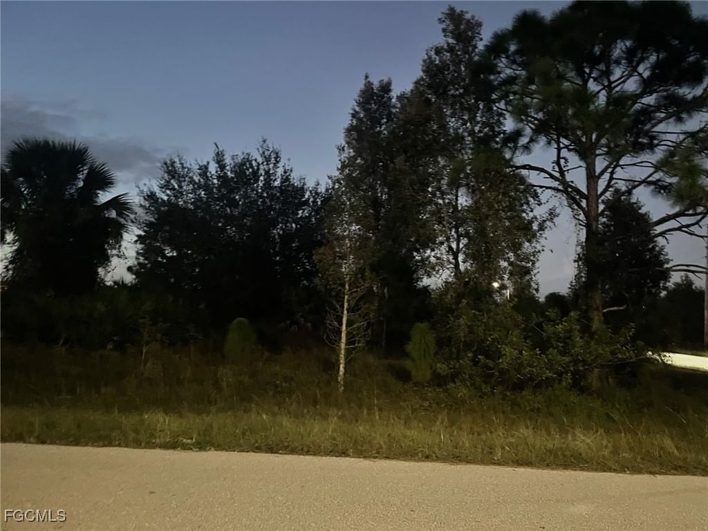 755 Amelia (corner Lot) Street E, Lehigh Acres, FL 33974 photo 3