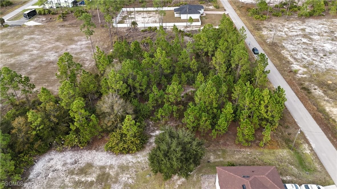 1213 Maple Avenue N, Lehigh Acres, FL 33972 photo 3