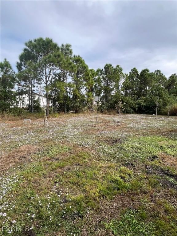 5336/5338 29th Street SW, Lehigh Acres, FL 33973 photo 4