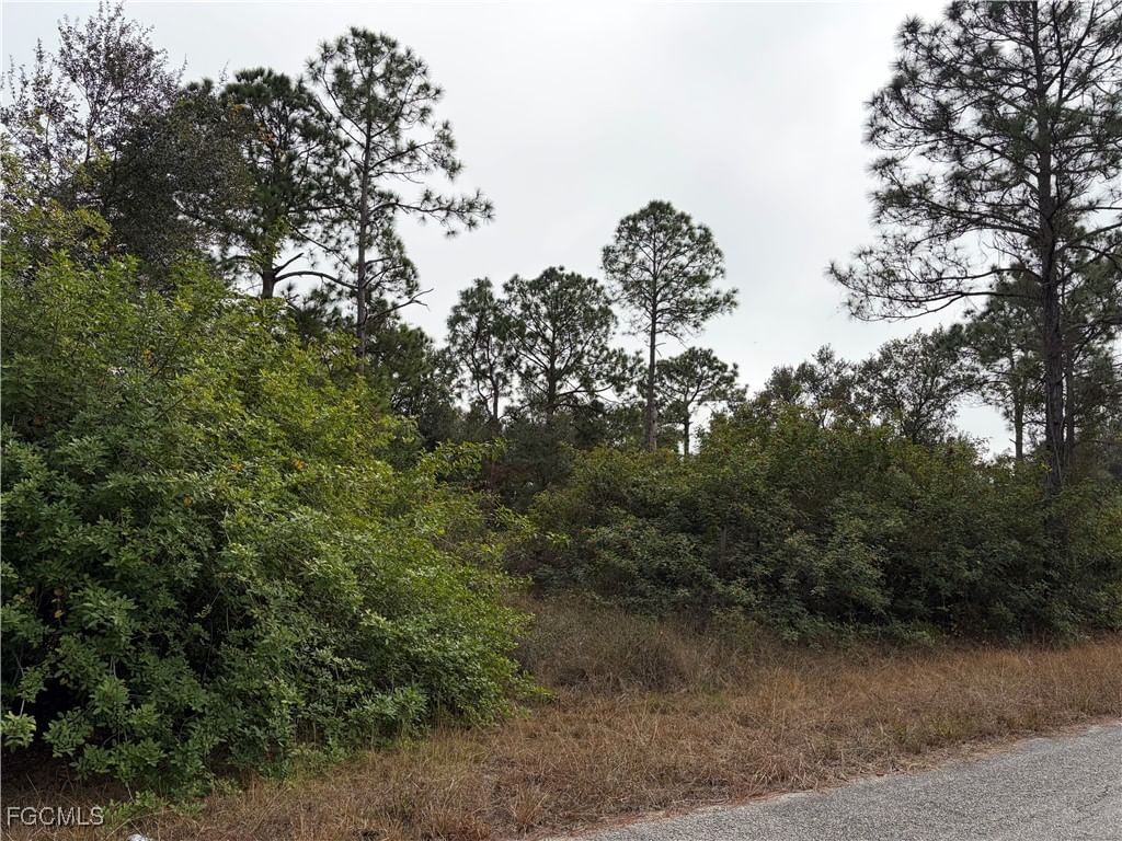 1310 Irving Avenue, Lehigh Acres, FL 33972 photo 2