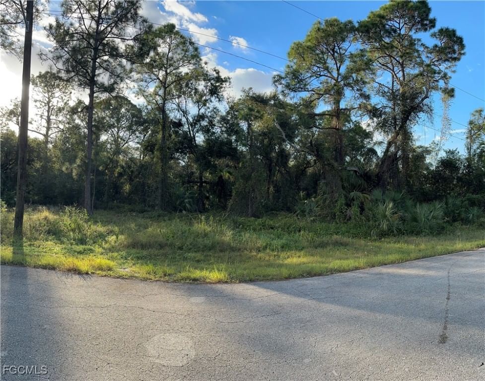 1713 Greenwood Avenue, Lehigh Acres, FL 33972 photo 3