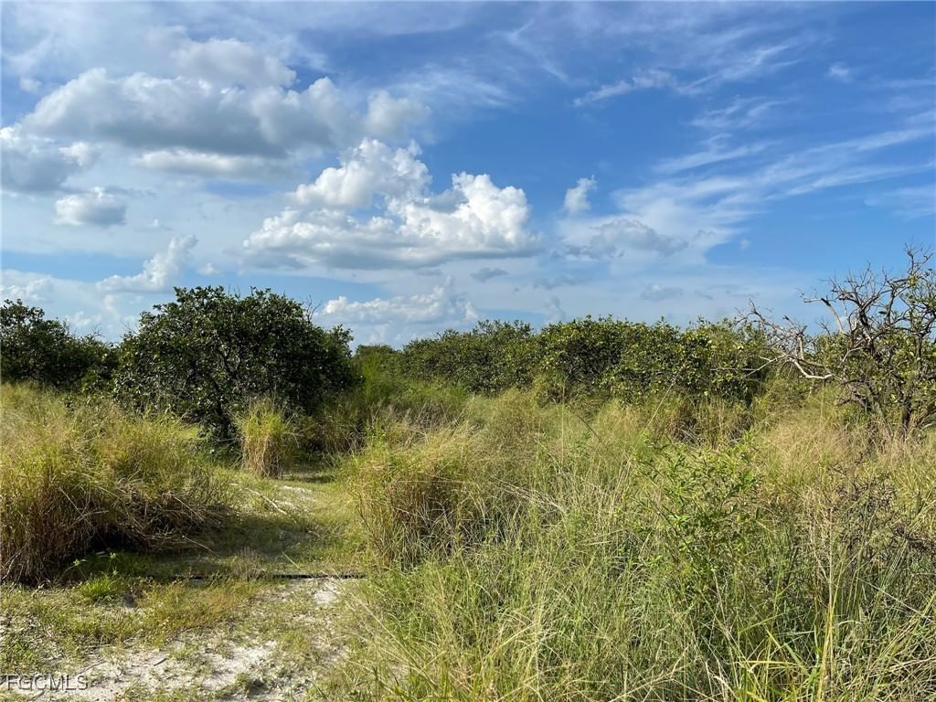 6876 5th Road, Labelle, FL 33935 photo 3