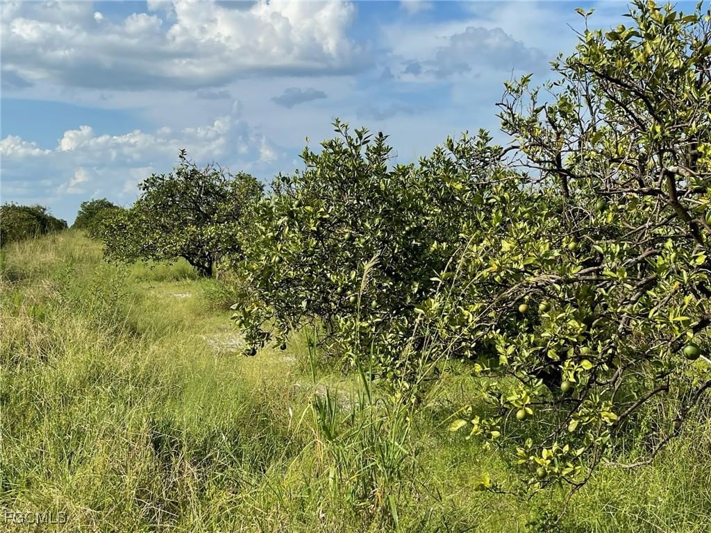 6876 5th Road, Labelle, FL 33935 photo 4