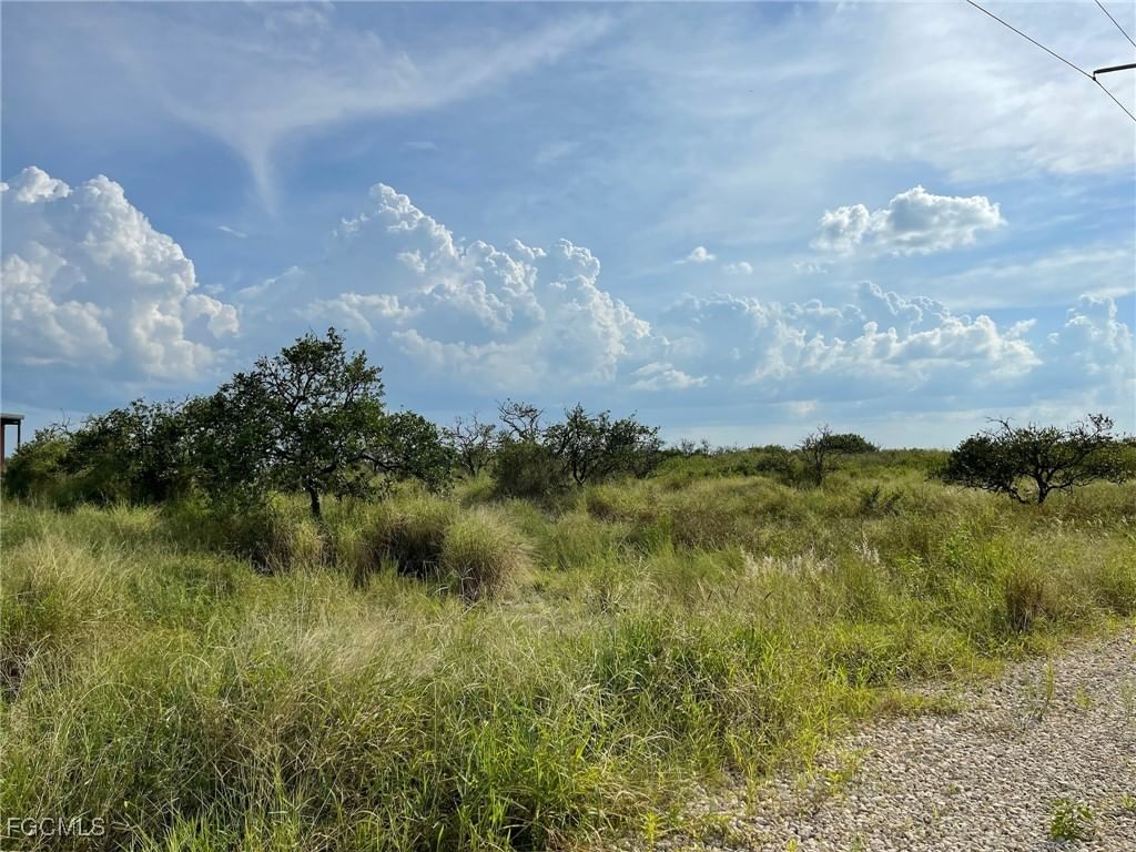 6876 5th Road, Labelle, FL 33935 photo 5
