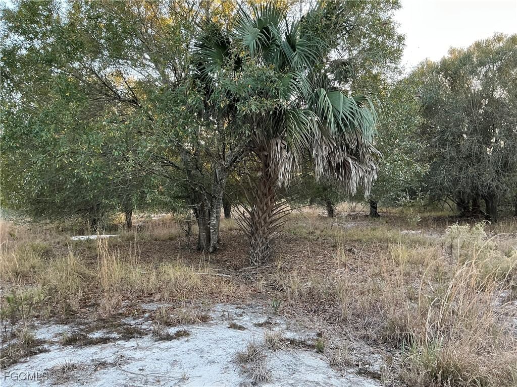 5801 4th Road, Labelle, FL 33935 photo 4