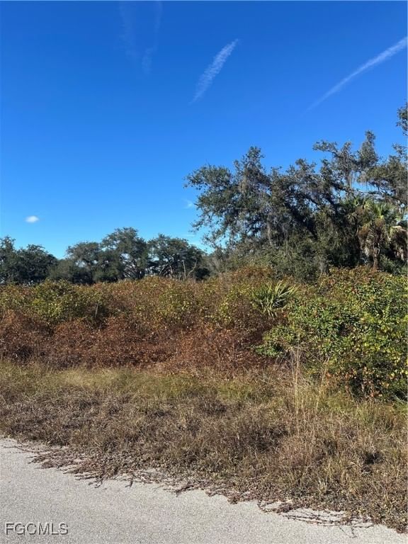 646 Kleinart Drive NW, Lehigh Acres, FL 33972 photo 4