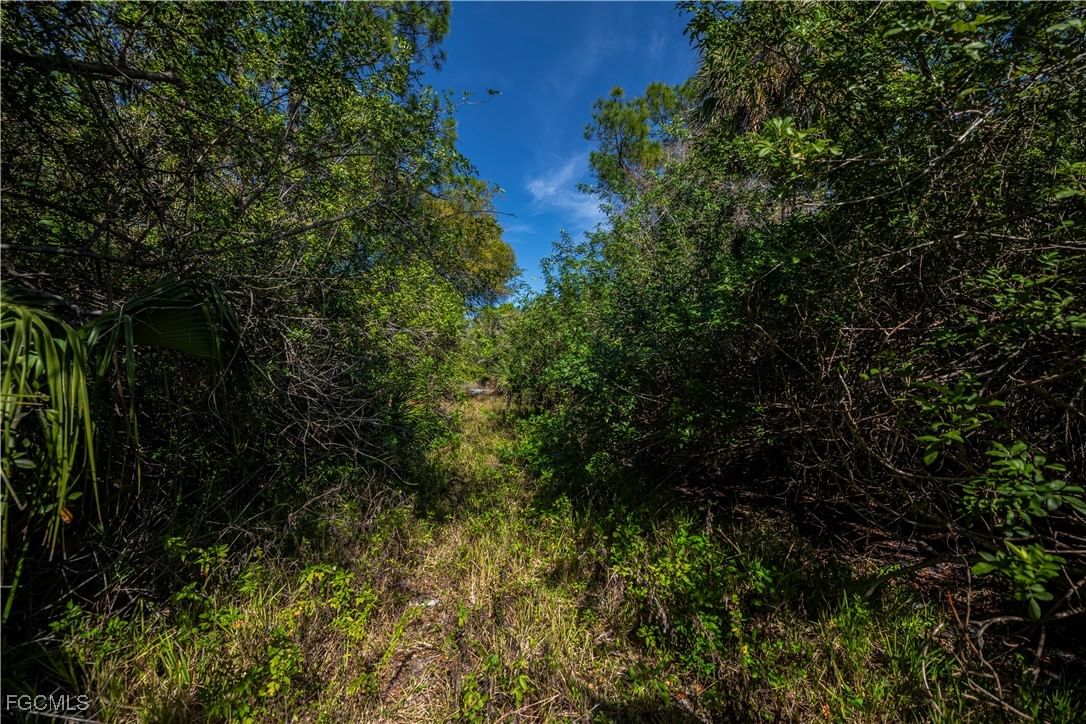 850 G Road, Labelle, FL 33935 photo 5